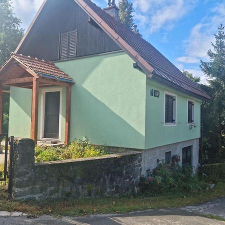 Forest Chalet Zalesina Bagian luar foto
