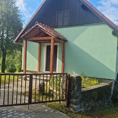 Forest Chalet Zalesina Bagian luar foto