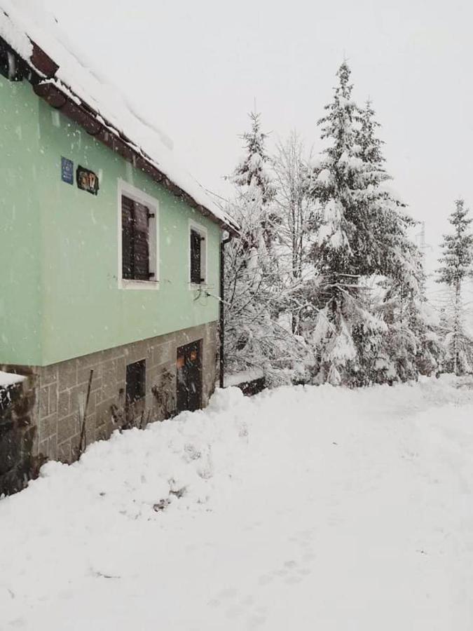 Forest Chalet Zalesina Bagian luar foto