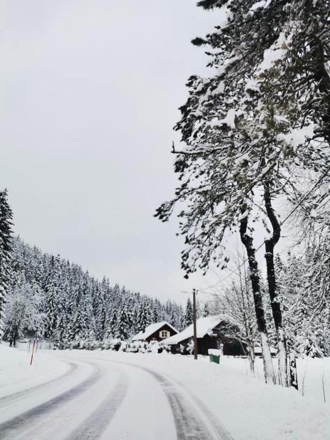 Forest Chalet Zalesina Bagian luar foto