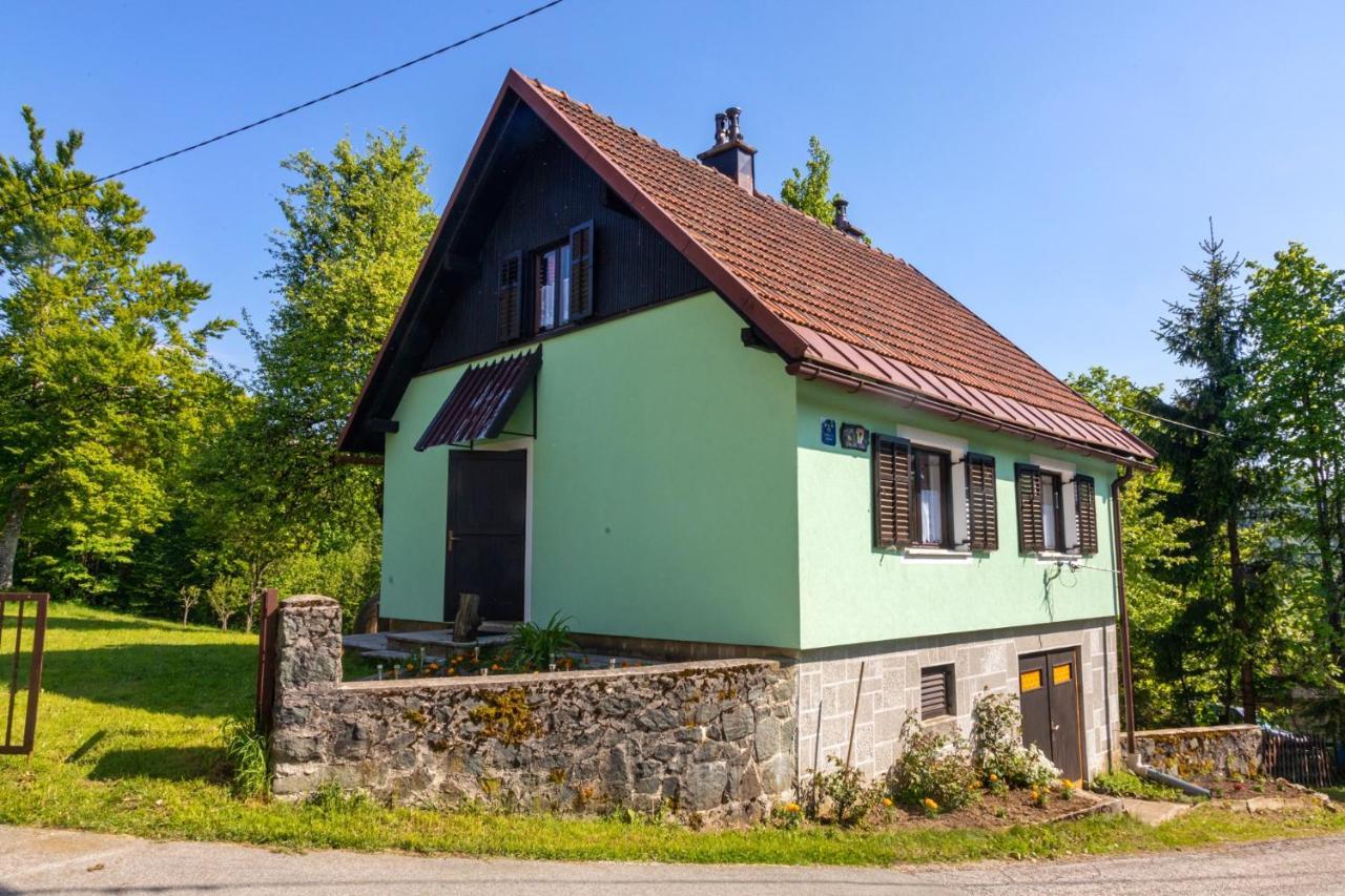 Forest Chalet Zalesina Bagian luar foto