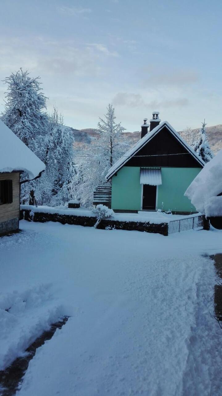 Forest Chalet Zalesina Bagian luar foto